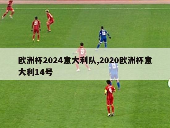 欧洲杯2024意大利队,2020欧洲杯意大利14号