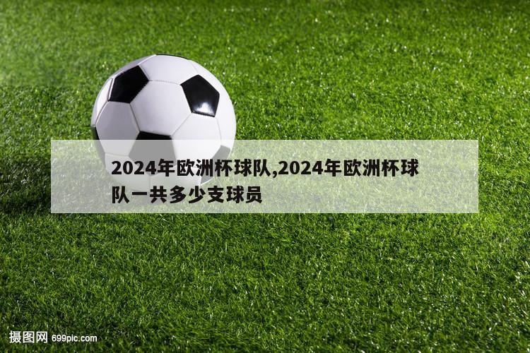 2024年欧洲杯球队,2024年欧洲杯球队一共多少支球员