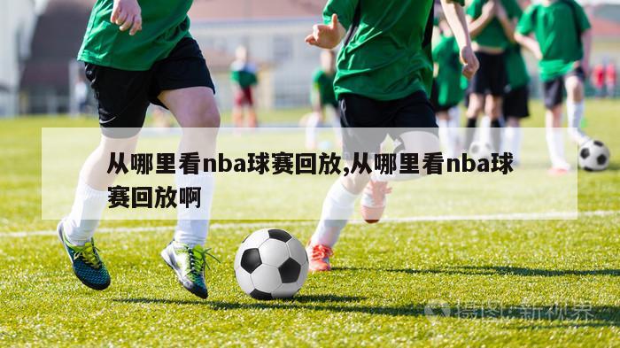 从哪里看nba球赛回放,从哪里看nba球赛回放啊