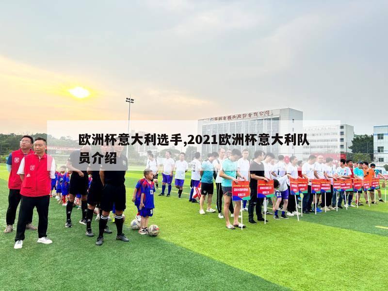 欧洲杯意大利选手,2021欧洲杯意大利队员介绍